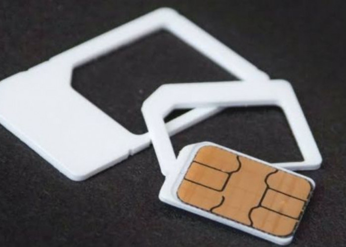 Registrasi SIM Berbasis Biometrik Disiapkan, Kemkomdigi Fokuskan Penerapan Bertahap Mulai 2026
