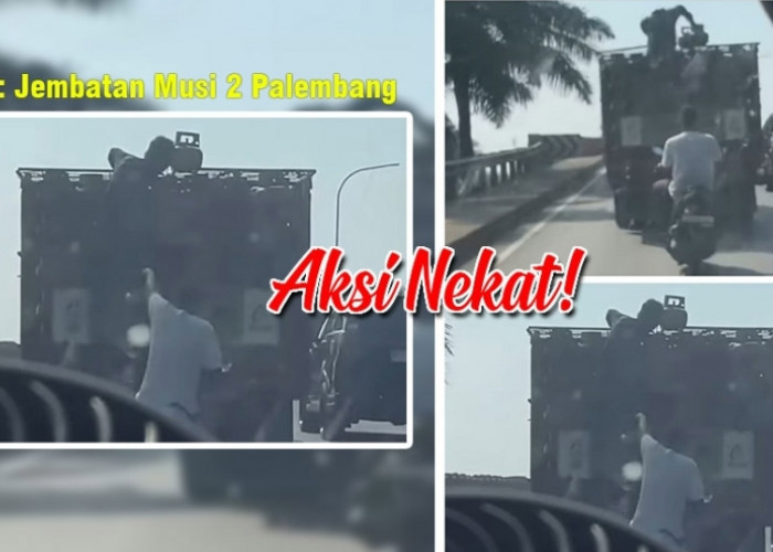 Heboh Video Bajing Loncat di Jembatan Musi 2 Palembang, Ambil Tabung Gas Melon