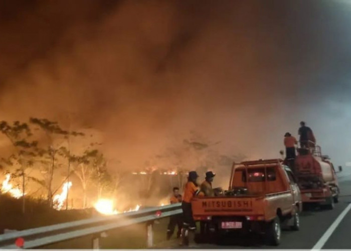 Waspada, Ini Titik Rawan Terjadi Karhutlah di Tol Palembang Indralaya