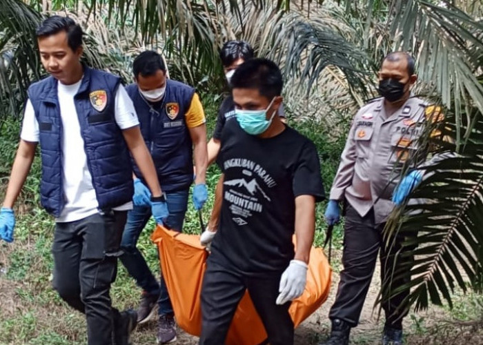 Mengejutkan, Jenazah di Kebun Sawit Sempat di Keluang Ternyata Rekam Aksi Bunuh Diri, Ini Penyebabnya