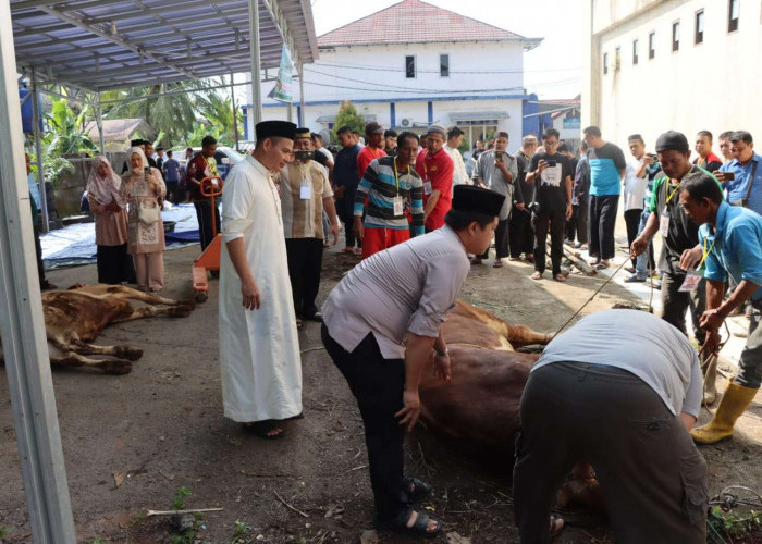 Lebaran Idul Adha Tahun Ini, Polres Muba Kurban 18 Ekor Sapi dan 10 Ekor Kambing