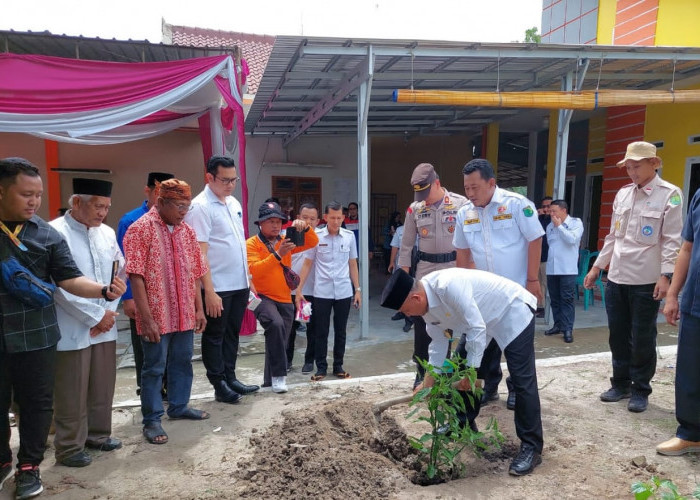 Satu Bulan Gerakan Sumsel Mandiri Pangan di Muba, Sudah 15 Ribu Bibit Cabai Tertanam