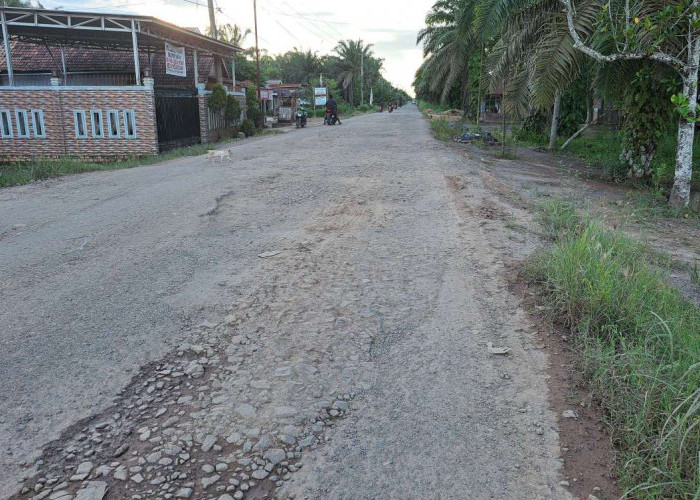 Jalan Sungai Lilin Keluang Makin Banyak Lobang, Pengendara Berharap Ada Perbaikan