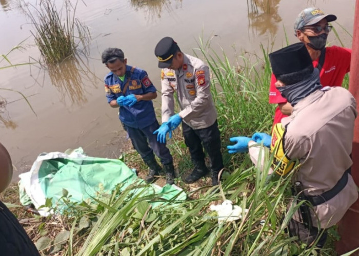 Misteri 'Mr X' di Sawah Simpang Meritai Terungkap: Ternyata Lansia Plaju yang Hilang 4 Hari