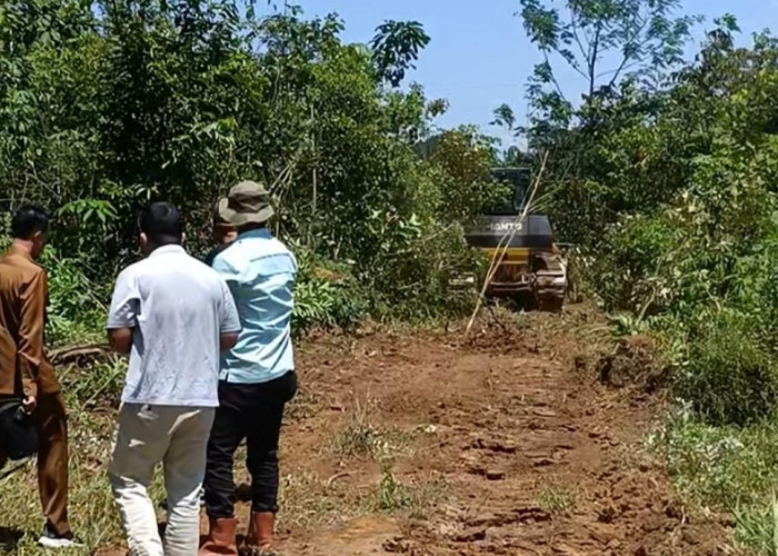 Warga Sungai Lilin Jaya Bangun Jalan Produksi Secara Swadaya, Perkuat Akses Ekonomi Perkebunan
