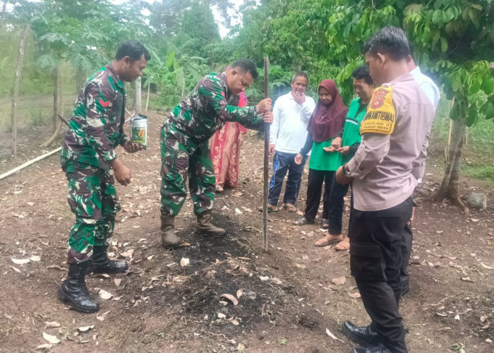 Polsek Sanga Desa Dorong Produksi Pangan Lokal melalui Pemanfaatan Lahan Pekarangan oleh KWT