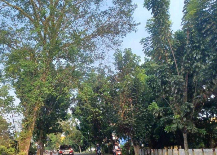 Warga Purwosari Berharap Sarana Penerangan Lampu Jalan