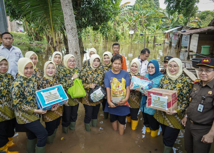 Berkunjung Ke Muba Ketua IAD Wilayah Sumsel, Beri Bantuan untuk Korban Banjir