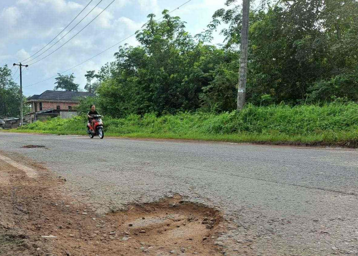 Banyak Lobang di Jalintim Buat Pengendara Tak Nyaman Melintas, Berharap Tol Betung - Jambi Segera Terealisasi