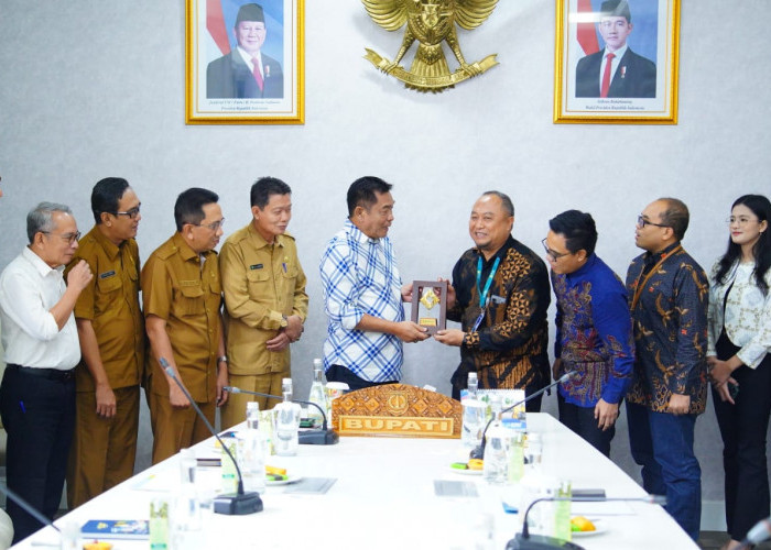 Muba Gaspol Tuntaskan Blankspot di 56 Desa, PLN Icon Plus Siap All Out