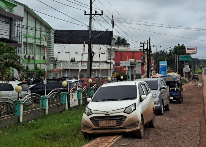 RSUD Sungai Lilin Kekurangan Lahan Parkir, Pengunjung Terpaksa Gunakan Bahu Jalan