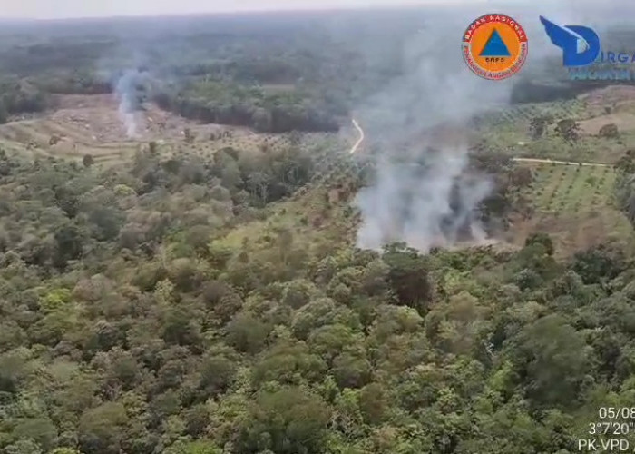 Karhutla Ancam Jirak Jaya, Tim Gabungan Muba Bergerak Cepat Padamkan Api