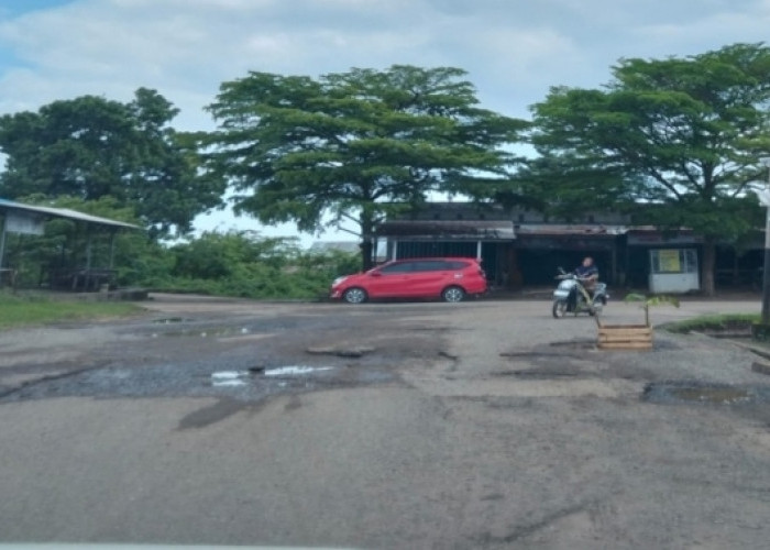 Keluhkan Jalan, Warga Tanam Pisang Dijalan Rusak di Depan Pasar Randik Sekayu