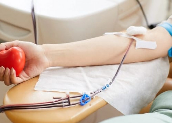 Jangan Takut, Ini Manfaat Donor Darah untuk Kesehatan