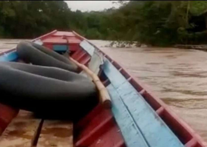 Kecelakaan Air Kembali Terjadi di Perairan Banyuasin, Perahu Ketek Terbalik, 2 Meninggal 1 Menghilang