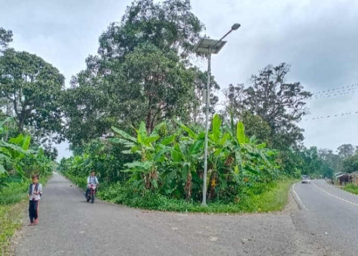 Dipasang Lampu Jalan, Persimpangan Desa Keban II Lebih Terang