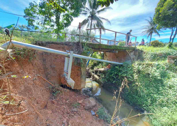 Belum Ada Kejelasan, Warga Desa Mulyo Rejo Berharap Pemkab Muba Jembatan Dibenahi