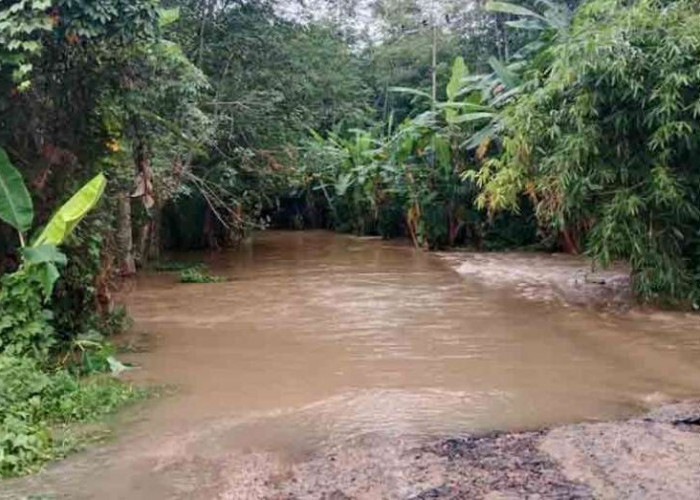 Jalan Menuju Desa Danau Cala Terendam Banjir, Aktifitas Warga Jadi Terhambat
