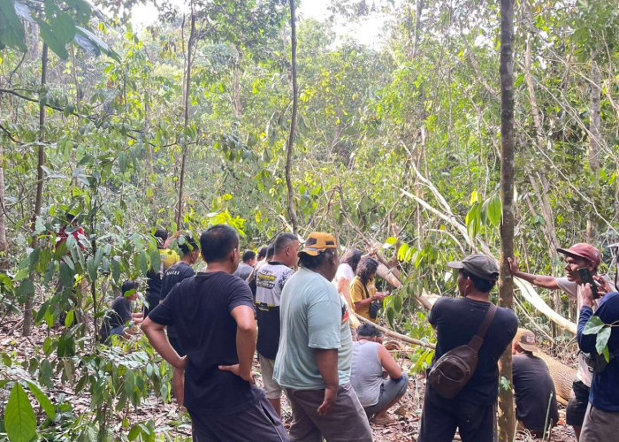 Warga Temukan Tengkorak dan Tulang Diduga Kerangka Manusia di Semak Belukar Bayung Lencir