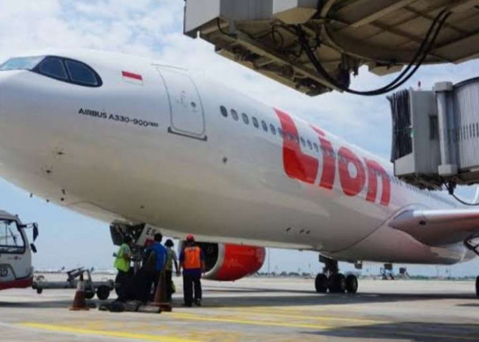 Pesawat Gagal Terbang, Penumpang Lion Air Terlantar