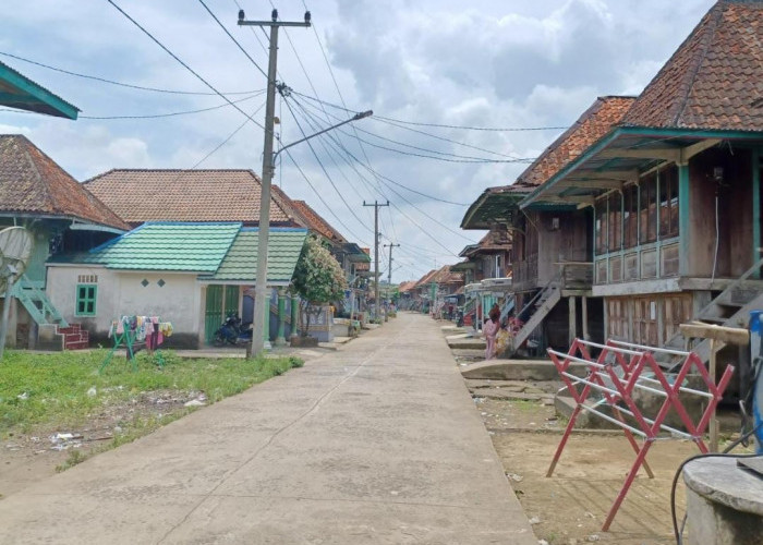 Warga Rantau Kroya Musi Banyuasin Keluhkan Listrik Sering Padam