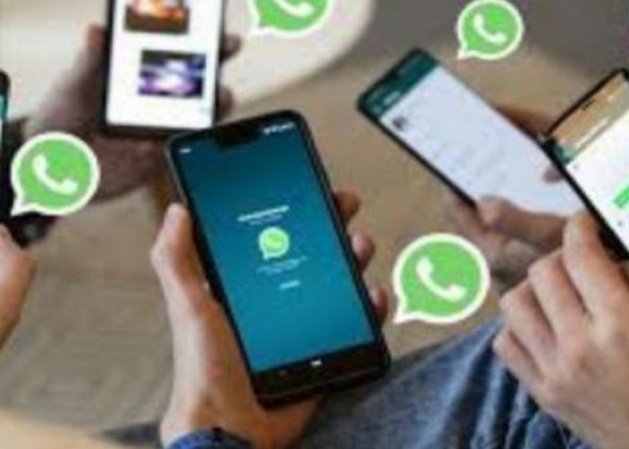 WhatsApp Merilis Fitur List, Berbeda dari Filter Chat