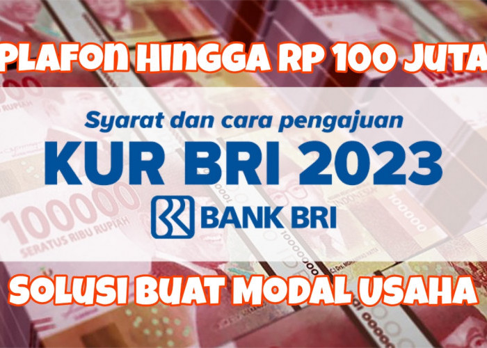 Dapatkan Modal Usaha hingga Rp100 Juta melalui KUR BRI 2023, Begini Caranya!