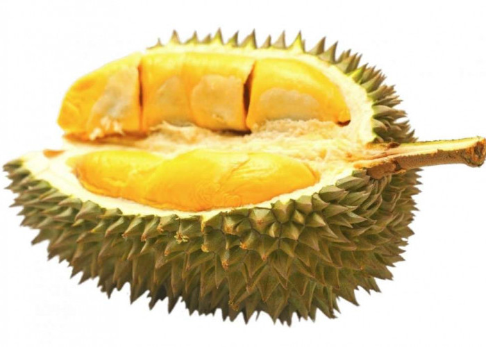 Ingat, 6 Makanan Ini Dilarang Makan Bersama Buah Durian