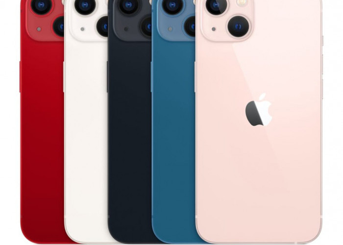 Turun Harga, Segini Harga iPhone 13 dan 15 Sekarang