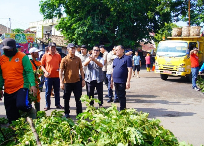 Pj Bupati Sandi Fahlepi, Turun ke Lokasi Tinjau Pohon Tumbang, Warga Terdampak Akan Mendapatkan Bantuan 