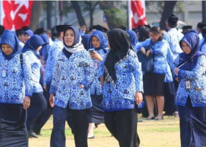 Ribuan Guru di Wilayah Ini Mengeluh, TPP Belum Cair