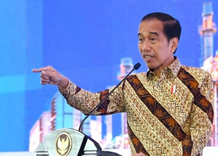 Presiden Jokowi Beri Instruksi Kepada MenPAN-RB Terkait Honorer, Apa Itu?