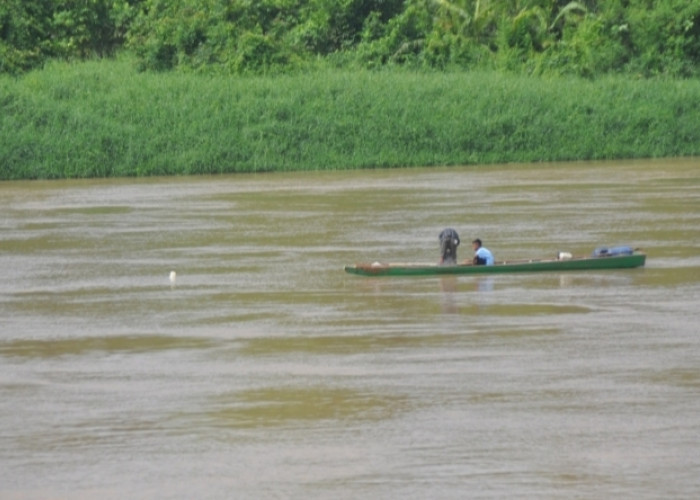 Debit Air Sungai Musi Pasang, Nelayan Bentangkan Jaring