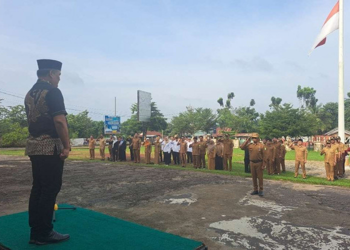 Peringati Hari Desa Nasional, Desa di Kecamatan Sungai Lilin Gelar Apel Bersama 