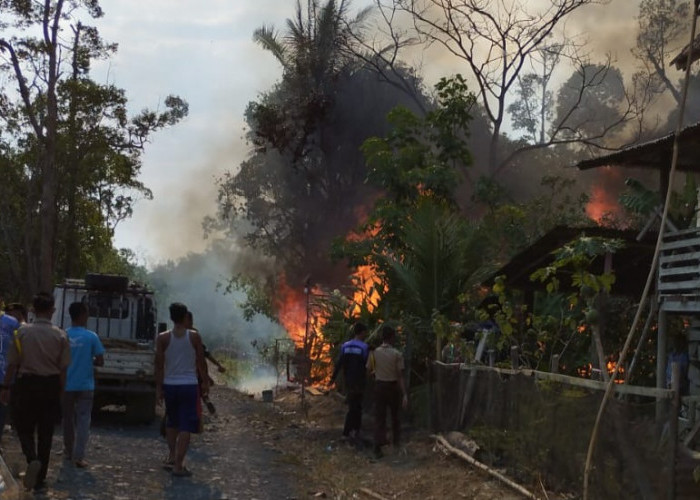 Ditinggal Beli Semangka, Rumah Warga Desa Kertayu Sungai Keruh Ludes Terbakar