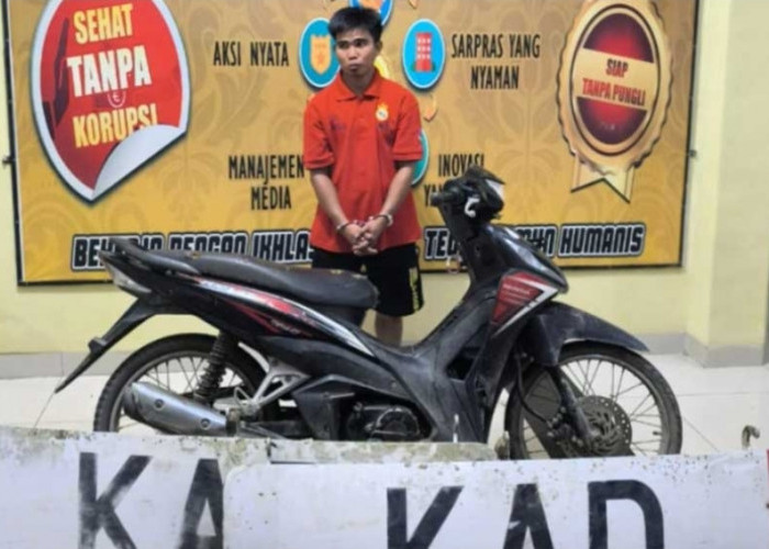 Pria di Prabumulih nekat Mencuri Panel Body Pesawat di Kampung Wisata
