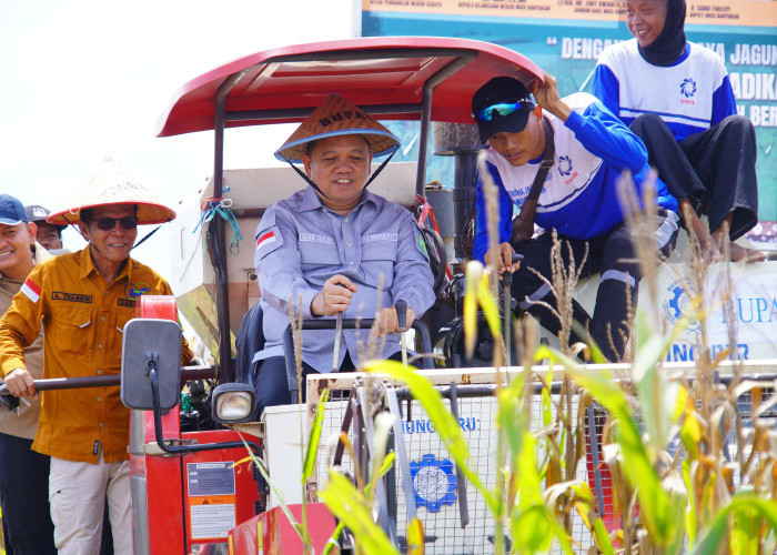 Panen Raya Jagung di Kecamatan Lalan, Wujudkan Swasembada Pangan Muba