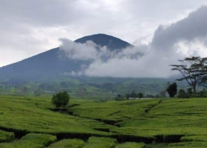 Gunung Dempo, Favorit Liburan Akhir Tahun, Banyak Juga Tempat Wisata Loh Disana