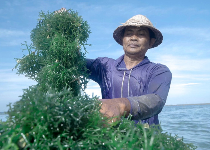 Ini 5 Komitmen Nyata BRI Dorong Peningkatan Kualitas Dan Daya Saing UMKM