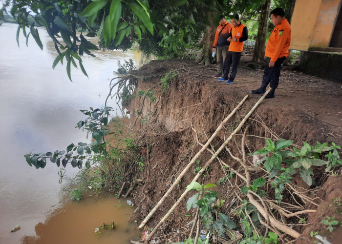 Curah Hujan Tinggi, Longsor Sepanjang 4 meter Terjadi di Sanga Desa