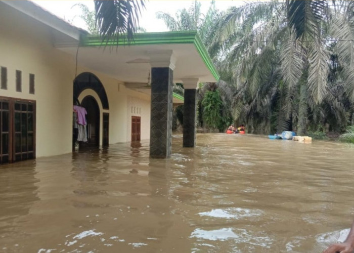 Desa Muaro Bahar Terendam Banjir, Ratusan Warga Terdampak 