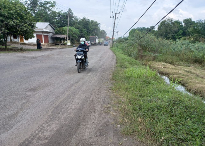 Kabel Listrik Menjuntai Ke Tanah, Ganggu Warga