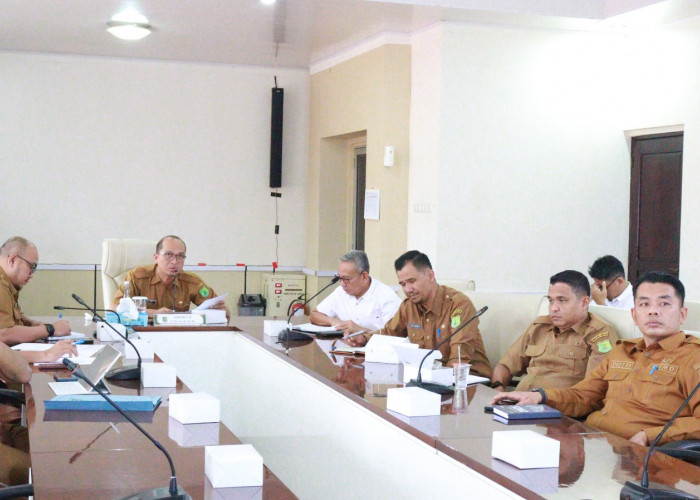 Pemkab Muba Perkuat Dukungan Program Lisdes, Pemerataan Listrik Desa Dipercepat