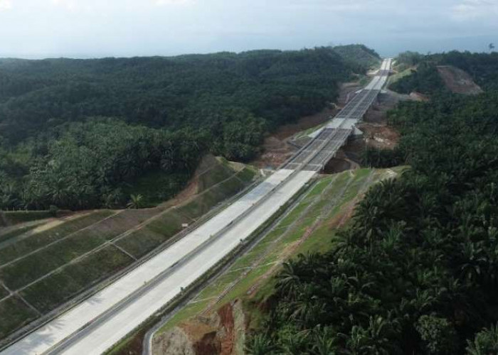 Kota Palembang - Bengkulu Dihubungkan Ruas Tol Trans Sumatera, Waktu Tempuh Hanya 4 Jam 