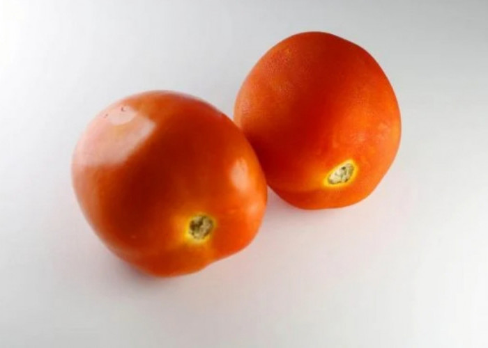 Harganya Murah, Ternyata Tomat Miliki Manfaat Luar Biasa untuk Kesehatan Tubuh