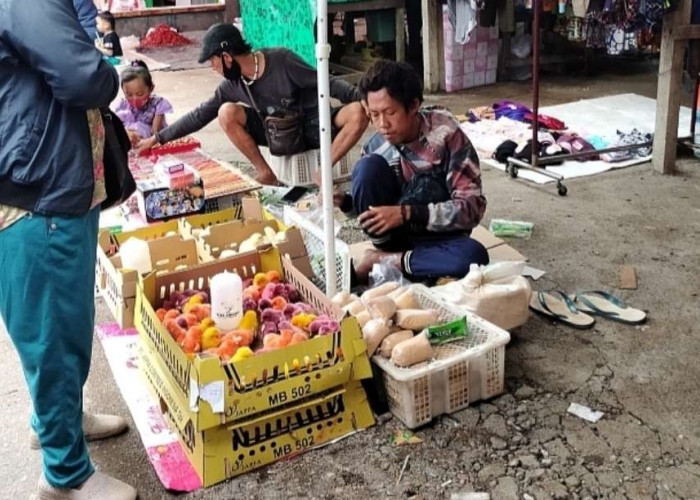 Musim Hujan Jadi Tantangan Pedagang DOC, Risiko Kematian Anak Ayam Meningkat