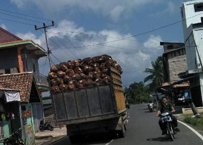 Tampa Jaring Pengaman, Bahayakan Pengendara Roda Dua 