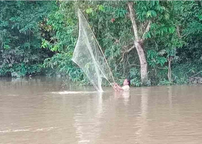Sudah Jadi Tradisi, Pasca Banjir, Warga Sanga Desa Berburu Ikan Mudik