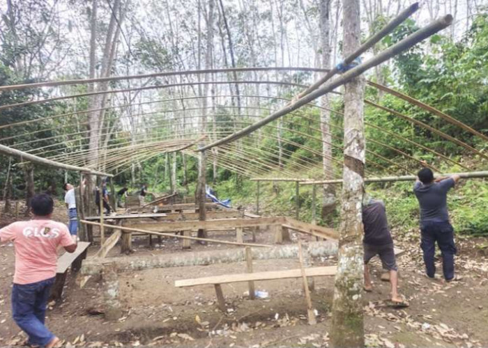 Arena Sabung Ayam Dibongkar Meski Kosong, Polisi Kirim Pesan Tegas ke Pelaku Judi