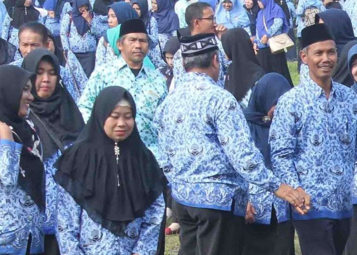 Nasib Honorer Jadi ASN, KemenPAN RI Masih Menunggu Hasil Pembahasan RUU ASN